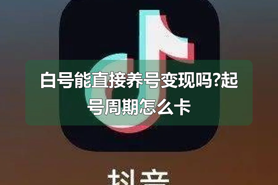 白号能直接养号变现吗?起号周期怎么卡